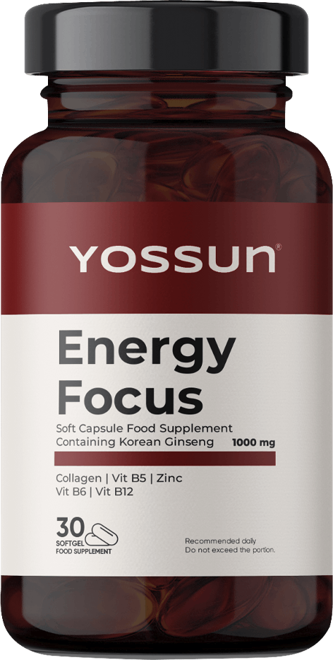 Yossun Energy Focus